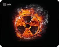 ������ ��� ���� Cactus CS-MP-D06M Radiation 300x250x3��