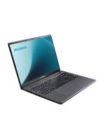 ������� AQUARIUS Cmp NE356, 16" (1920x1200) IPS/AMD Ryzen 5 6600H/8 �� DDR5/256 �� SSD/AMD Radeon Graphics/��� �������, ����� (NE356153318S125SCN2TMANNN2)