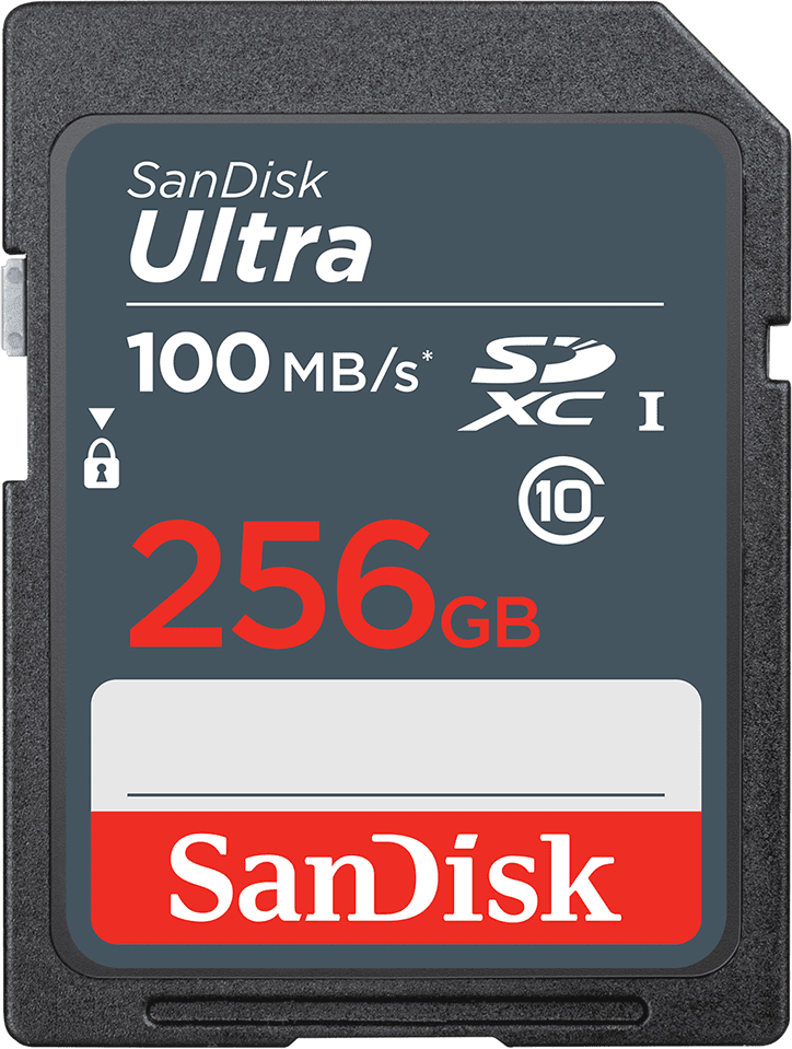 ����� ������ SDXC 256GB UHS-I SDSDUNR-256G-GN3IN SANDISK