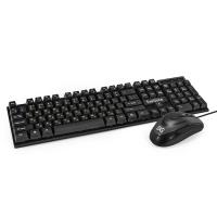 �������� ExeGate Professional Standard Combo MK110, ������, Color EX295302RUS