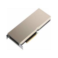 ����������� ��������� nVidia Tesla A100 80G with two brackets OEM 900-21001-0120-130