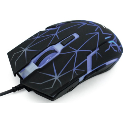 ���� ����� 701G ������