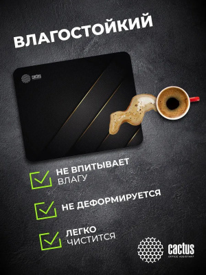 ������ ��� ���� Cactus Gold Geometry 300x250x2�� (CS-MPC-P04M)