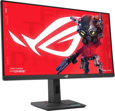 ������� 27'' XG27ACMS IPS WQHD 2560x1440 320Hz