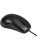 Мышь ExeGate Professional Standard B100 (USB, оптическая, 1000dpi, 3D, 3 кнопки и колесо прокрутки, длина кабеля 1,5м, черная, Color Box) EX298195RUS Мышь ExeGate Professional Standard B100 (USB, оптическая, 1000dpi, 3D, 3 кнопки и колесо прокрутки, длина кабеля 1,5м, черная, Color Box) EX298195RUS