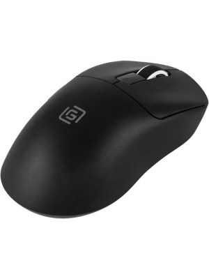 ���� ����� 800GMW ������ ���������� 10000dpi �������. BT/Radio USB 6but