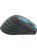 Мышь беспроводная A4Tech Fstyler FG30S, 2000dpi, Wireless/USB, Серый/Синий, FG30S BLUE Мышь беспроводная A4Tech Fstyler FG30S, 2000dpi, Wireless/USB, Серый/Синий, FG30S BLUE
