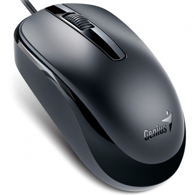 ���� Genius DX-120 USB Black (31010105100)