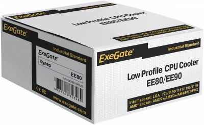 ����� Exegate EE80
