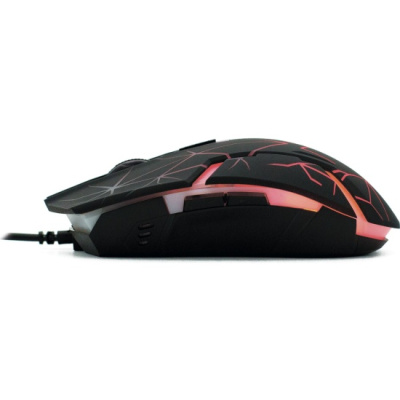 ���� ����� 701G ������