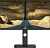 ������� Dahua 24" LM24-P301A 24" QHD IPS E-LED 2560x1440, 6��, 75�� DHI-LM24-P301A