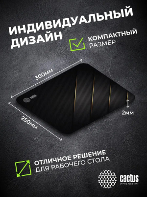 ������ ��� ���� Cactus Gold Geometry 300x250x2�� (CS-MPC-P04M)