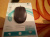 ���� Logitech M90 Grey USB Mouse (910-001794 / 910-001793)