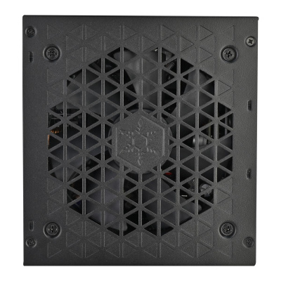 ���� ������� �� Silverstone Triton 1000Rz SST-TR1000R-GM, 1000��, 80 PLUS Gold, RTL