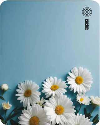 ������ ��� ���� Cactus Daisies 250x200x3�� (CS-MP-D07S)