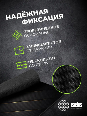 ������ ��� ���� Cactus Gold Geometry 300x250x2�� (CS-MPC-P04M)