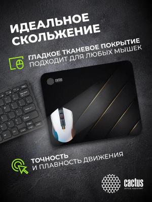 ������ ��� ���� Cactus Gold Geometry 300x250x2�� (CS-MPC-P04M)