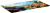 ������ ��� ���� Cactus Desert landscape 900x400x3�� (CS-MP-PRO15XXL)