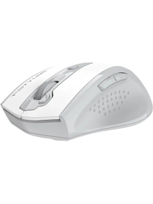 ���� A4Tech Fstyler FG55S Plus ����� ���������� 1200dpi �������. USB