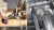 ������� Bosch MSM4B670, ���������, 1000 ��, ������