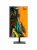 Моноблок iRU Tactio 24ID5, 24.5" (1920x1080) IPS/Intel Core i5-12400/16 DDR5/512 ГБ SSD/Intel UHD Graphics/Без ОС, Черный (2195973) Моноблок iRU Tactio 24ID5, 24.5" (1920x1080) IPS/Intel Core i5-12400/16 DDR5/512 ГБ SSD/Intel UHD Graphics/Без ОС, Черный (2195973)