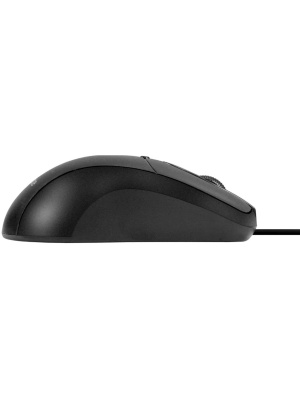 ���� ExeGate Professional Standard B100 (USB, ����������, 1000dpi, 3D, 3 ������ � ������ ���������, ����� ������ 1,5�, ������, Color Box) EX298195RUS