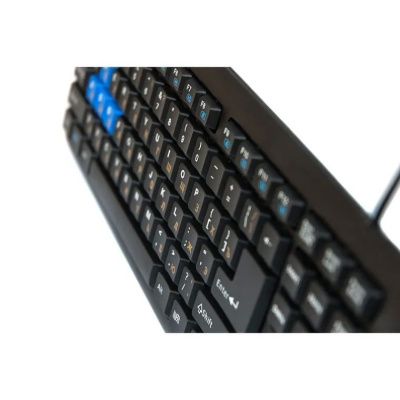 �����������-���������� Dialog Multimedia KM-025U Black-Blue