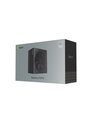 ���� ������� Ocypus Gamma P850, 850W, APFC, 80+, 120mm Fan (P850-W)