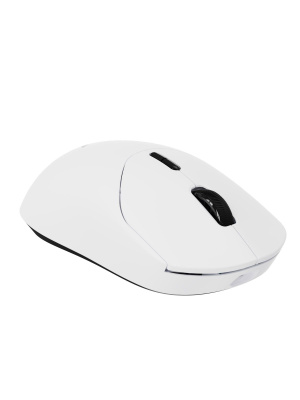 ������� ���� ���������/������������ RAPOO VT2 DM, ���� - ����� (13441)