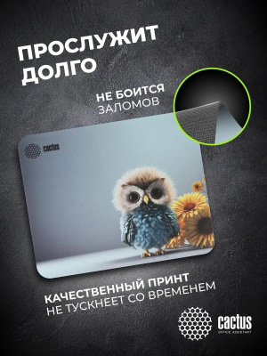 ������ ��� ���� Cactus Owl gray ������� 300x250x3�� (CS-MPC-D12M)