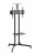 Подставка для телевизора Ultramounts UM 262 черный 37"-70" макс.50кг напольный мобильный Подставка для телевизора Ultramounts UM 262 черный 37"-70" макс.50кг напольный мобильный