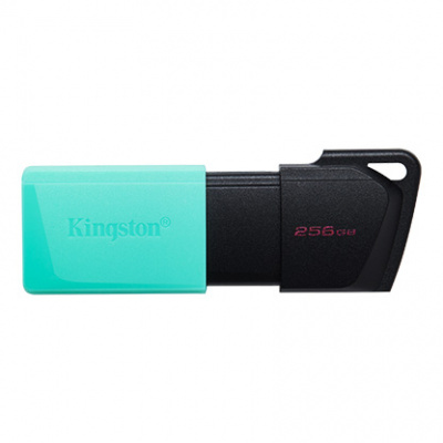 ���� ���� Kingston 256Gb DataTraveler Exodia M DTXM/256GB, USB 3.2