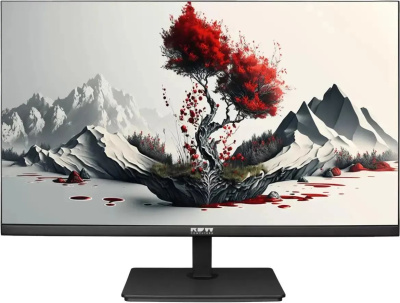 ������� RDW Computers 23.8" 2401K FHD IPS ������ 2401K/F00�3100V2A1H