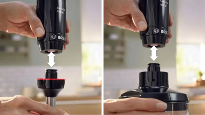 ������� Bosch MSM4B621 ���������, ������