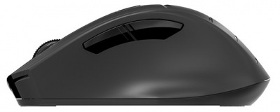 ����  A4Tech Fstyler FG30S Grey USB