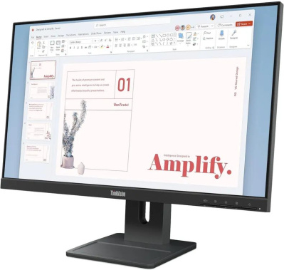 ������� Lenovo 23.8" ThinkVision E24-40 FHD IPS LED 100Hz ������ (64BAMAT1UK)