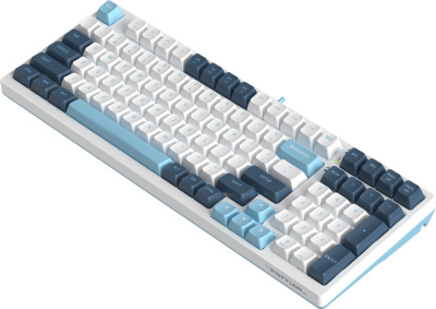 ���������� A4Tech Fstyler FS300 ������������ �����/����� USB for gamer LED (FS300 PANDA SNOWBOARDING)