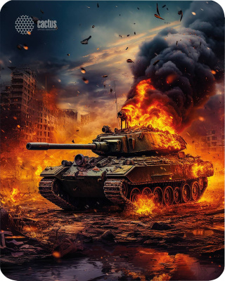 ������ ��� ���� Cactus CS-MP-D04M Burning tank 300x250x3��