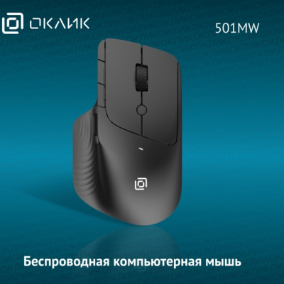 ���� ������������ ����� 501MW ������