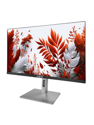 ������� RDW Computers 23.8" RDW2407 ������/����������� IPS 1ms HDMI M/M HAS Piv 300cd 178��/178�� 1920x1080 120Hz VGA DP FHD USB (RUS)
