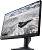 ������� Dell 24.5"AW2524HF, 16:9, IPS