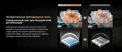 ��������� QLED Skyworth 55" 55X67H Eye Care Frameless, 4K Ultra HD 60Hz WiFi Smart TV, ������