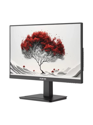 ������� RDW Computers RDW2401K ����.467846.008-01 23,8" 1920x1080(FHD) IPS 120Hz 1�� 178�/178 350cd HDMI DP Type-C