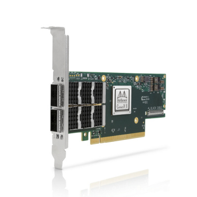 ������� ������� MELLANOX MCX653106A-ECAT(SP) 