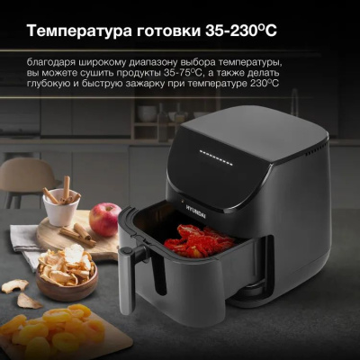 ��������� Hyundai HYF-9090 1700�� ���������/������