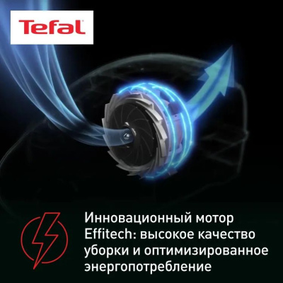 ������� Tefal TW3786RA 2100�� ������/����� (2211400063)