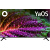 Телевизор LED BBK 50" 50LEX-8231/UTS2C (B) Яндекс.ТВ черный 4K Ultra HD 50Hz DVB-T2 DVB-C DVB-S2 WiFi Smart TV (RUS) Телевизор LED BBK 50" 50LEX-8231/UTS2C (B) Яндекс.ТВ черный 4K Ultra HD 50Hz DVB-T2 DVB-C DVB-S2 WiFi Smart TV (RUS)
